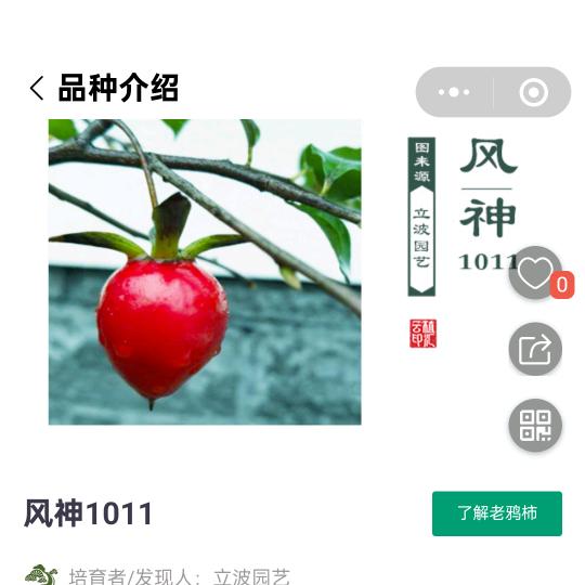 ⠀⠀⠀立波园艺