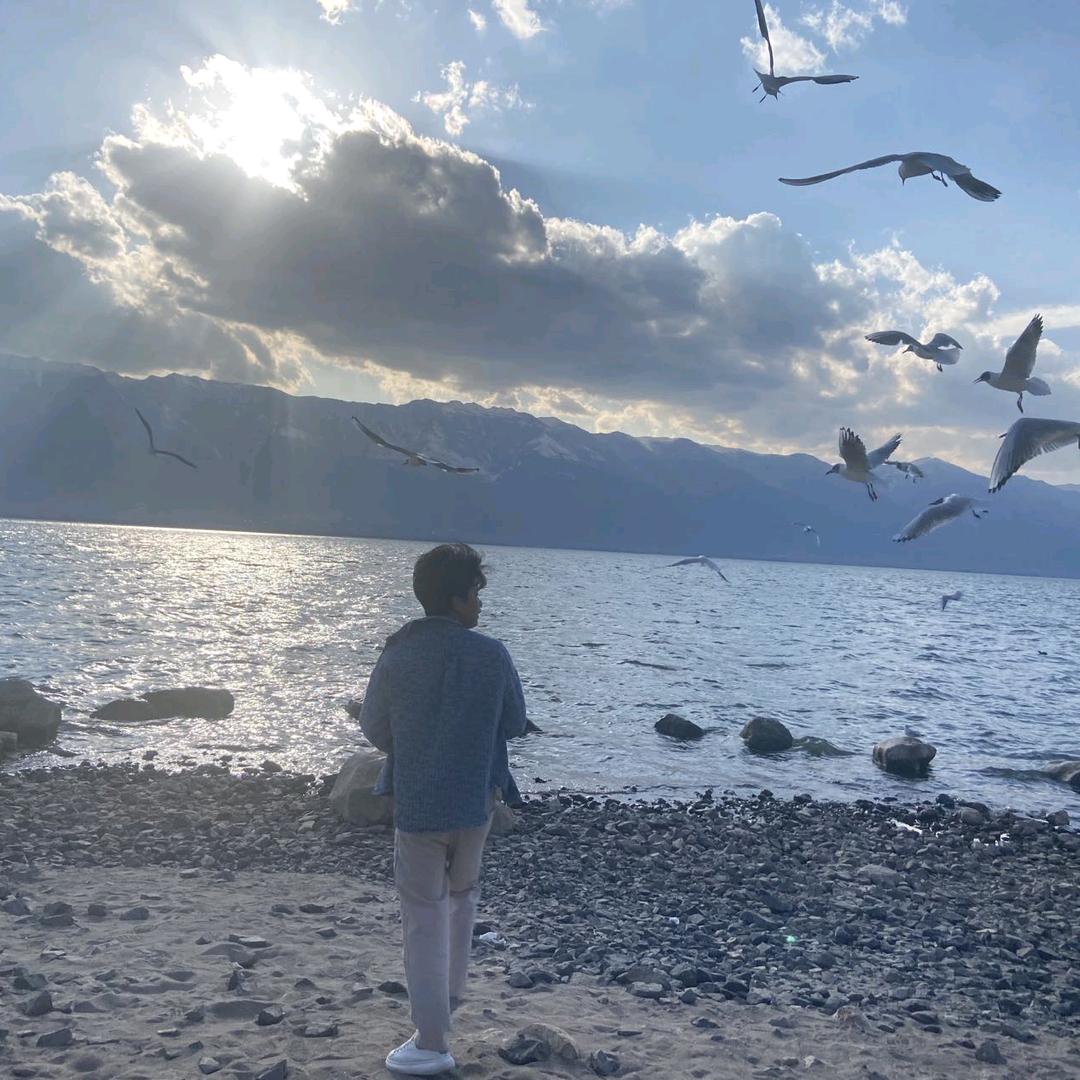 成都DY车实体批发