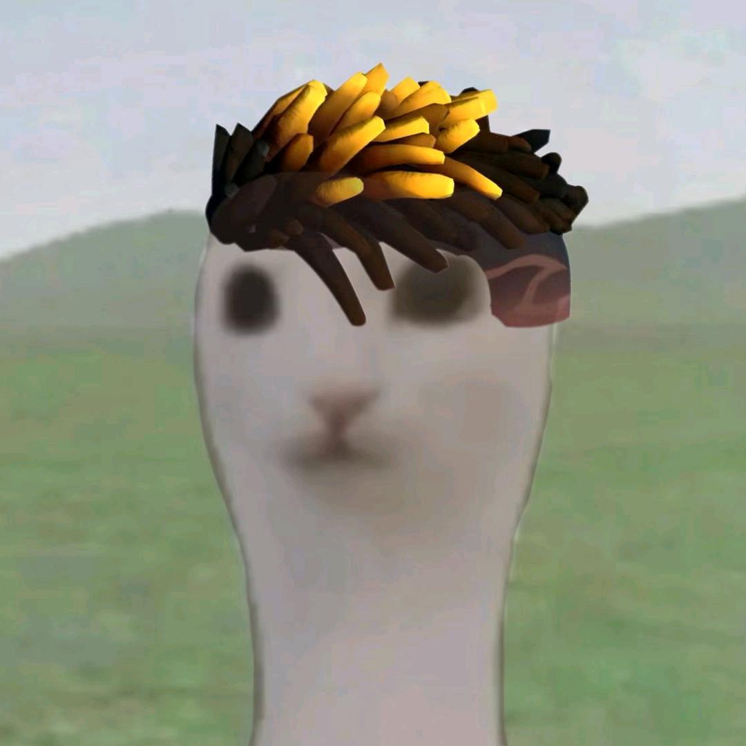 天天要开心