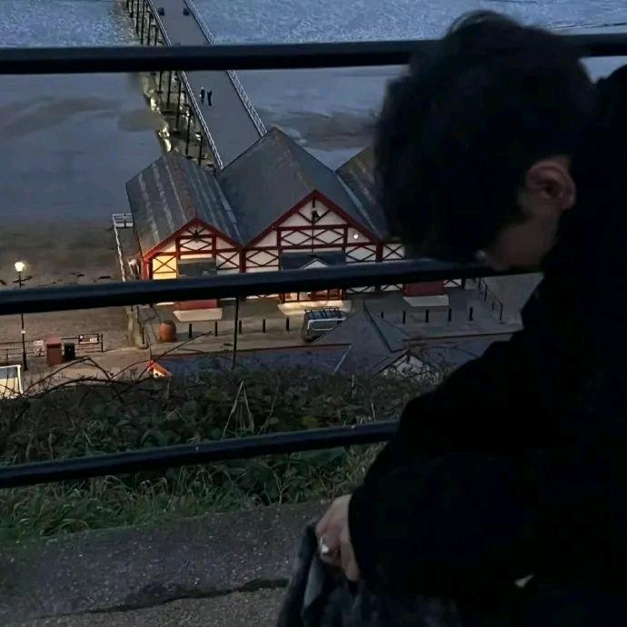 塞来昔布头像