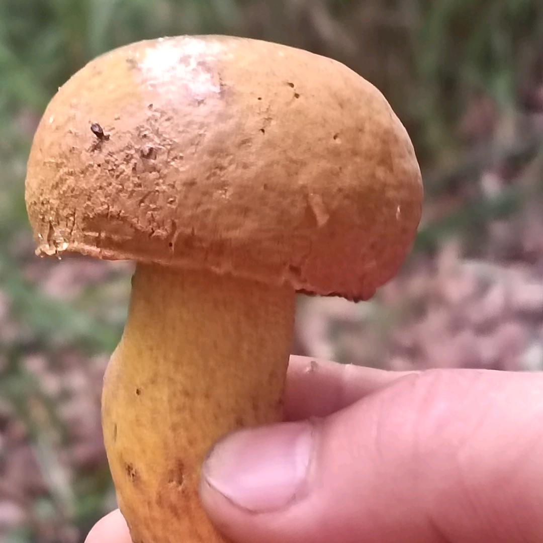 每天都开心