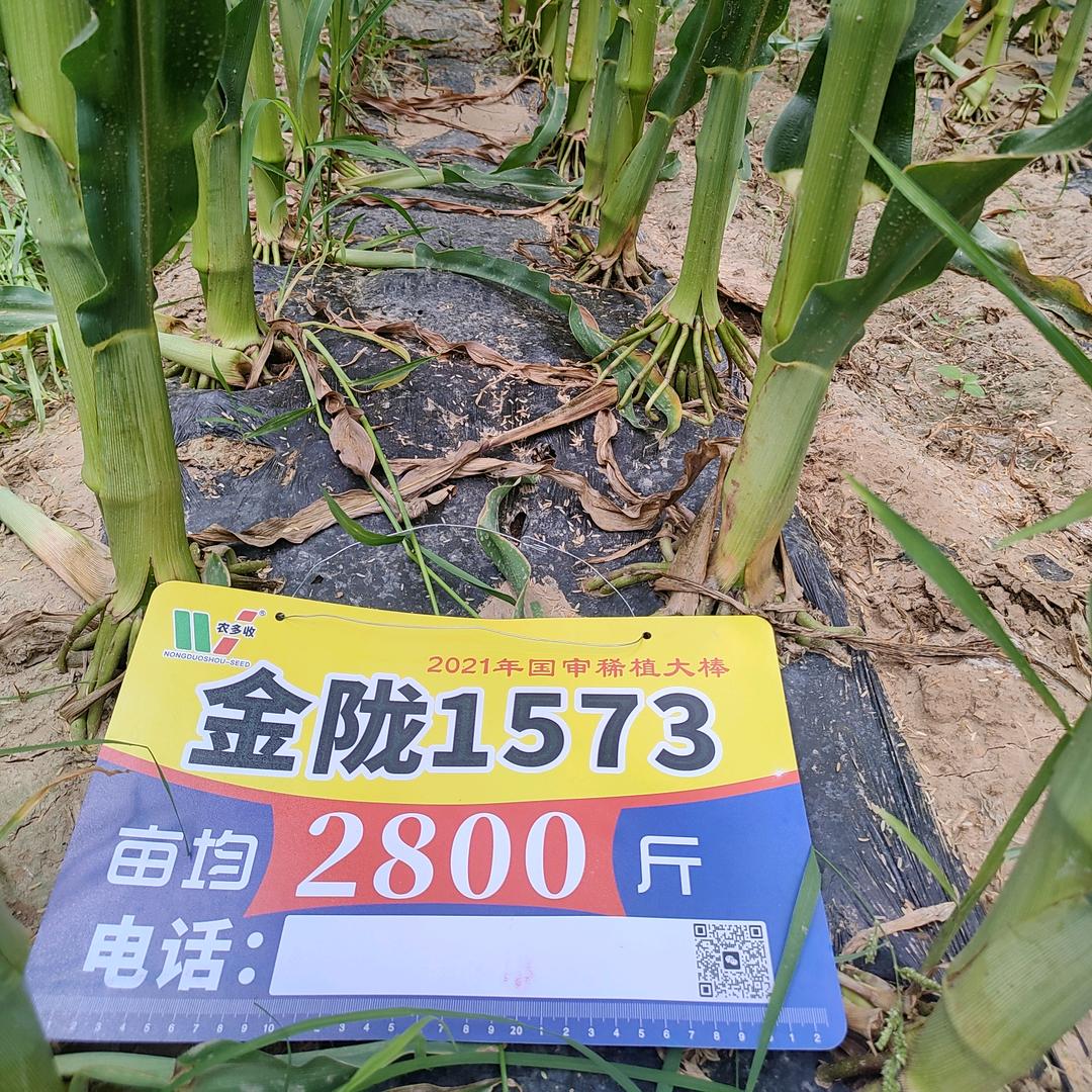 临河农多收农资供应站