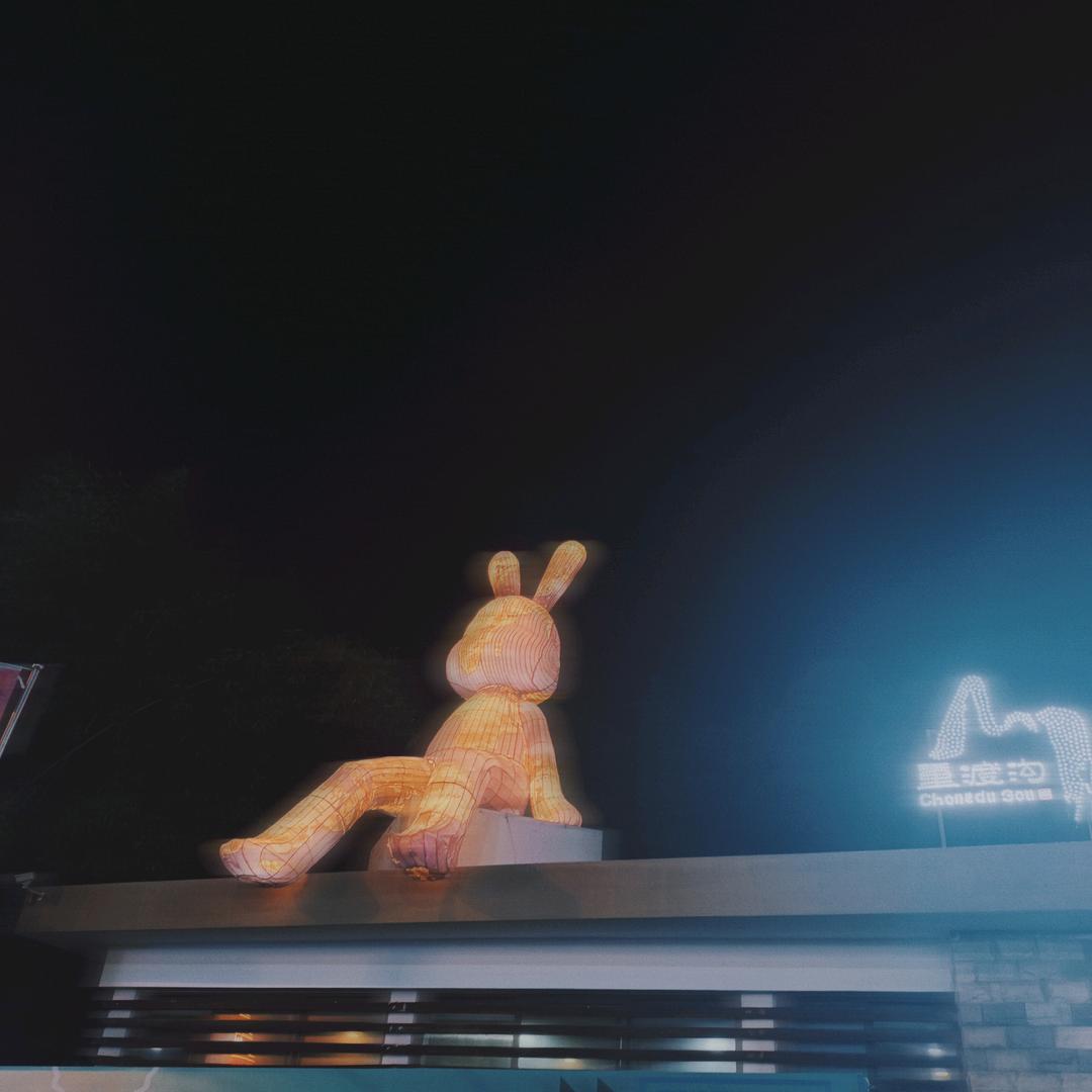 凌晨一点的猫🐱