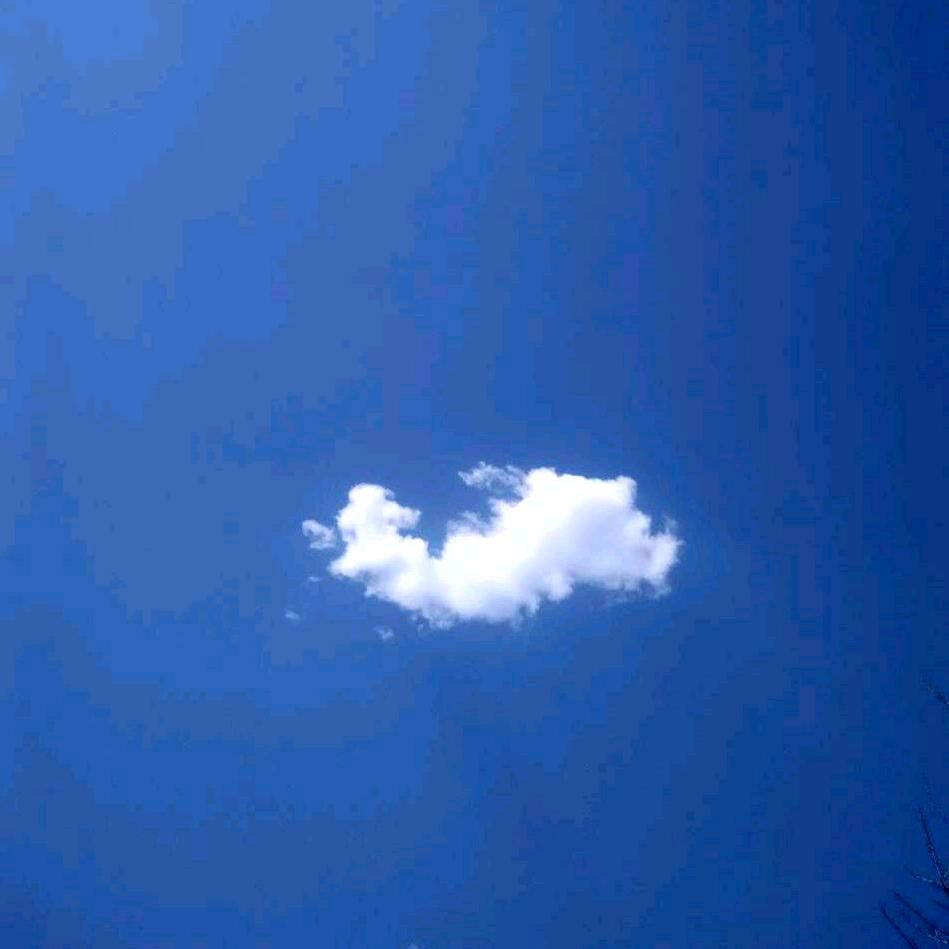 甜甜的草根