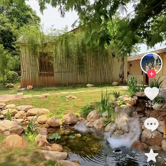 归雁