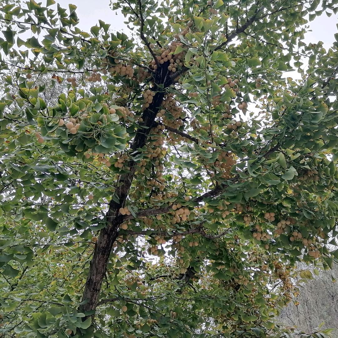 2032856357自然而然