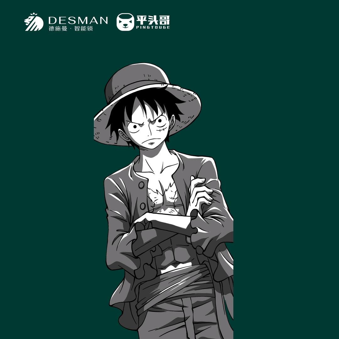 德施曼智能锁平湖吾悦店