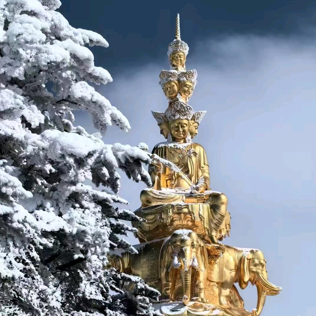 金沙