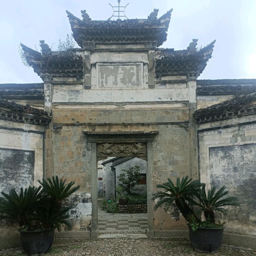 失去记忆