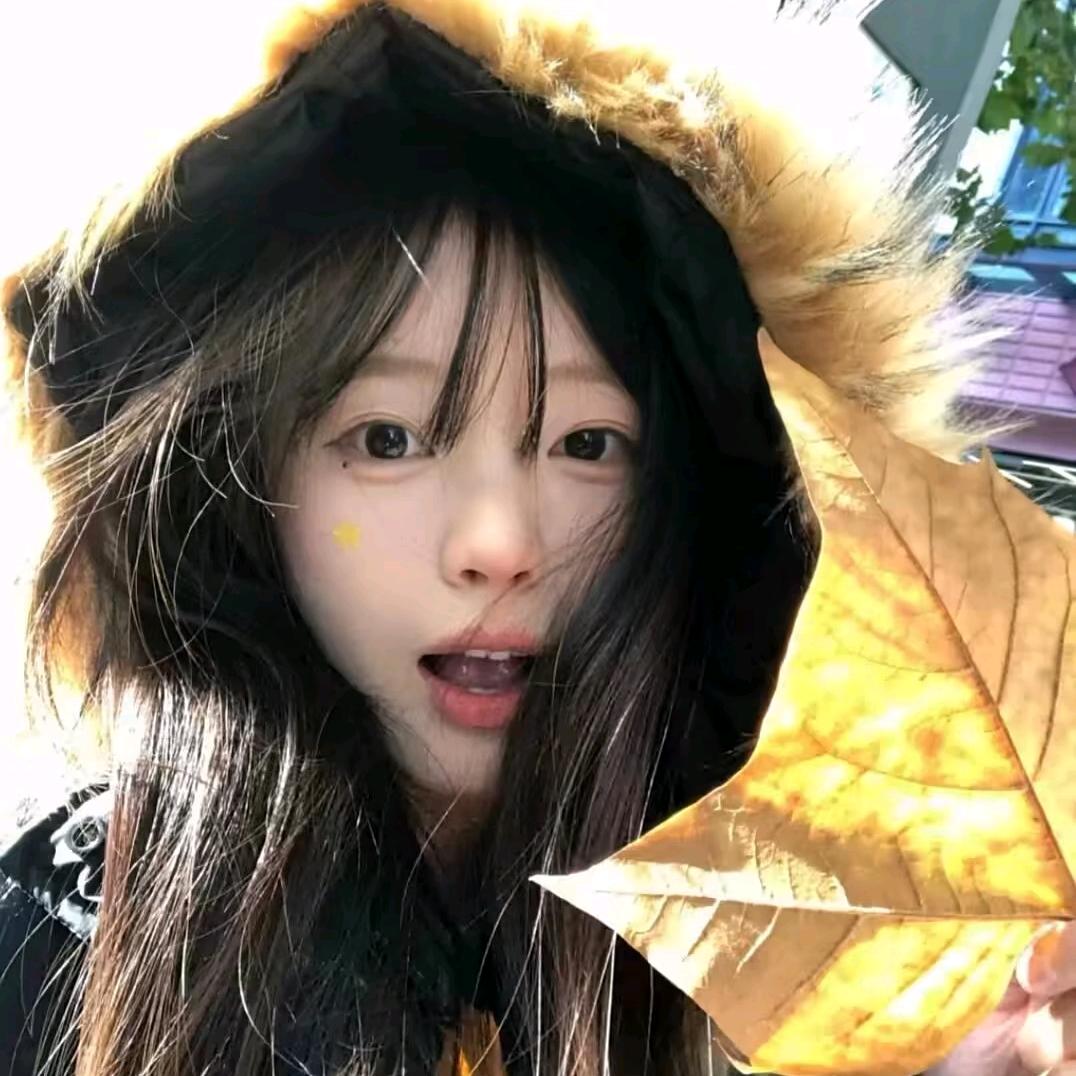 pp大王