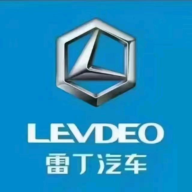 雷丁电动汽车