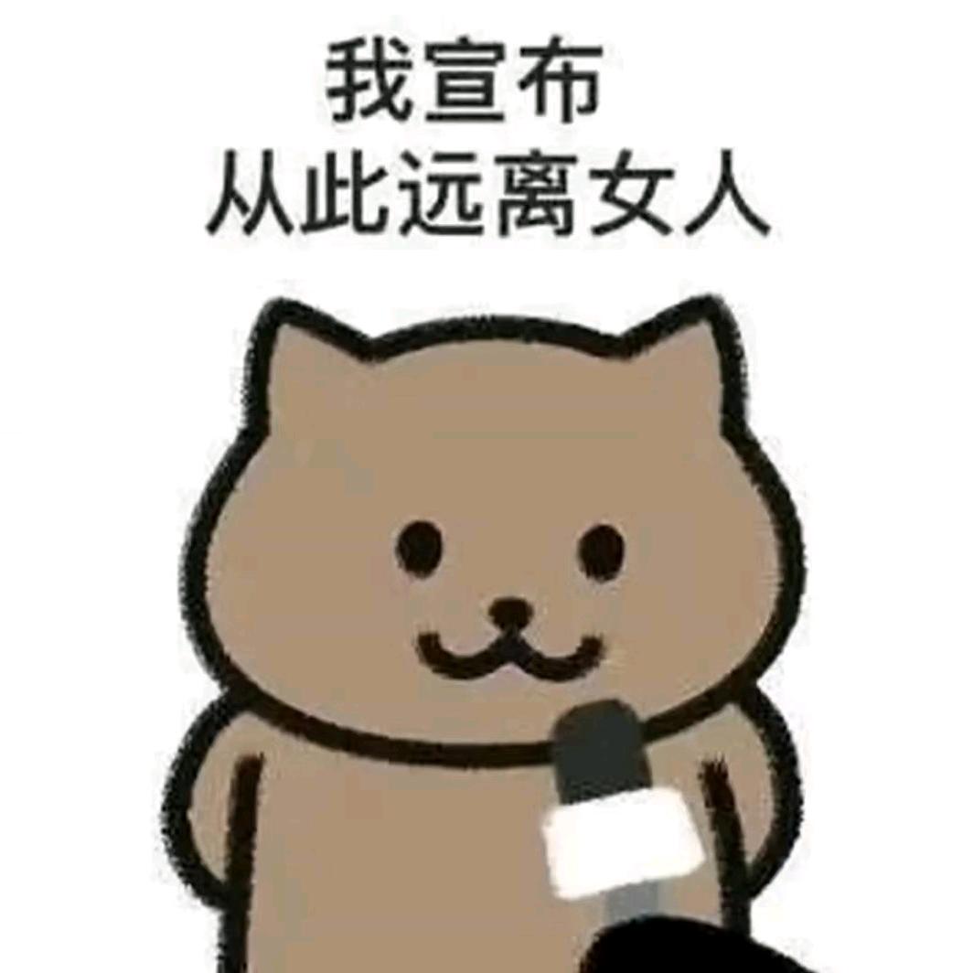 贾怼怼
