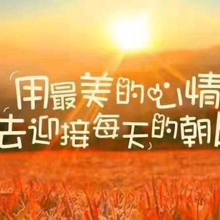 夏天的芬芳