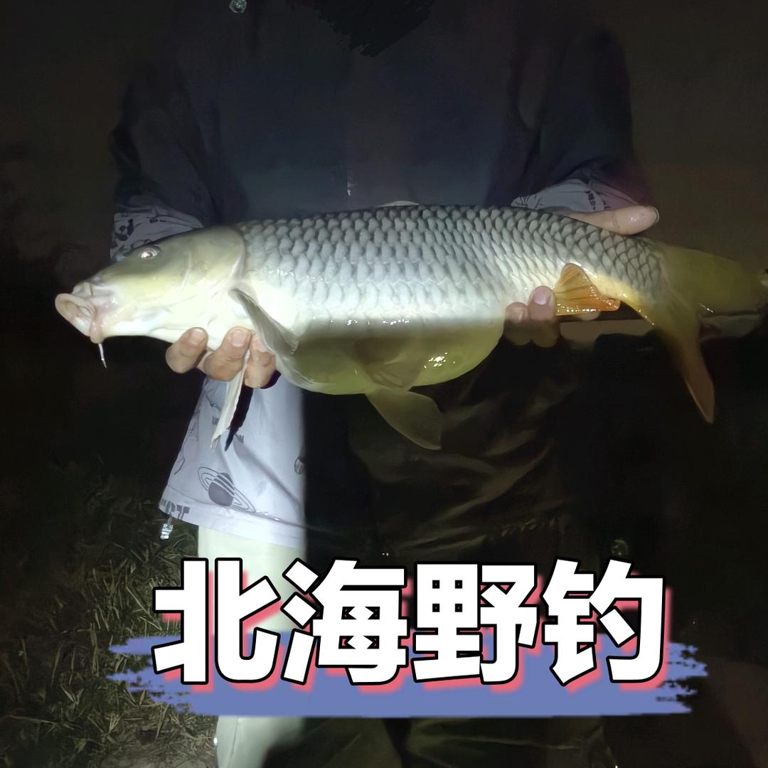 北海野钓（渔业资源调查员）