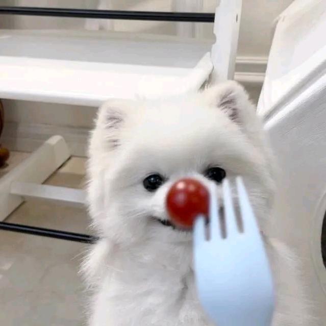 腼腆小美