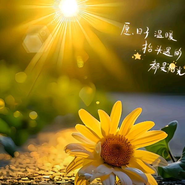 玩bu过亼吢