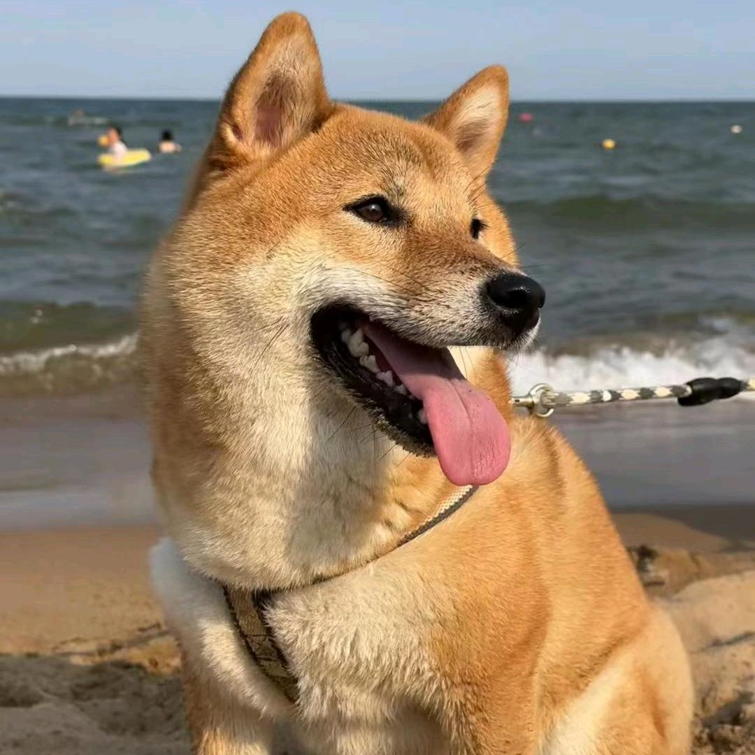 笑忘书