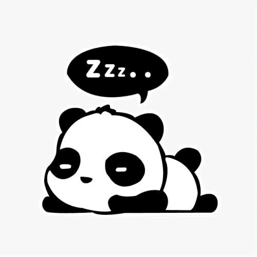 天才小熊猫🐼