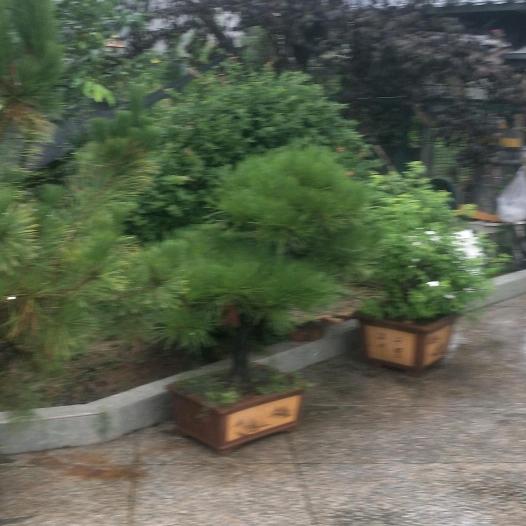 有你才幸福
