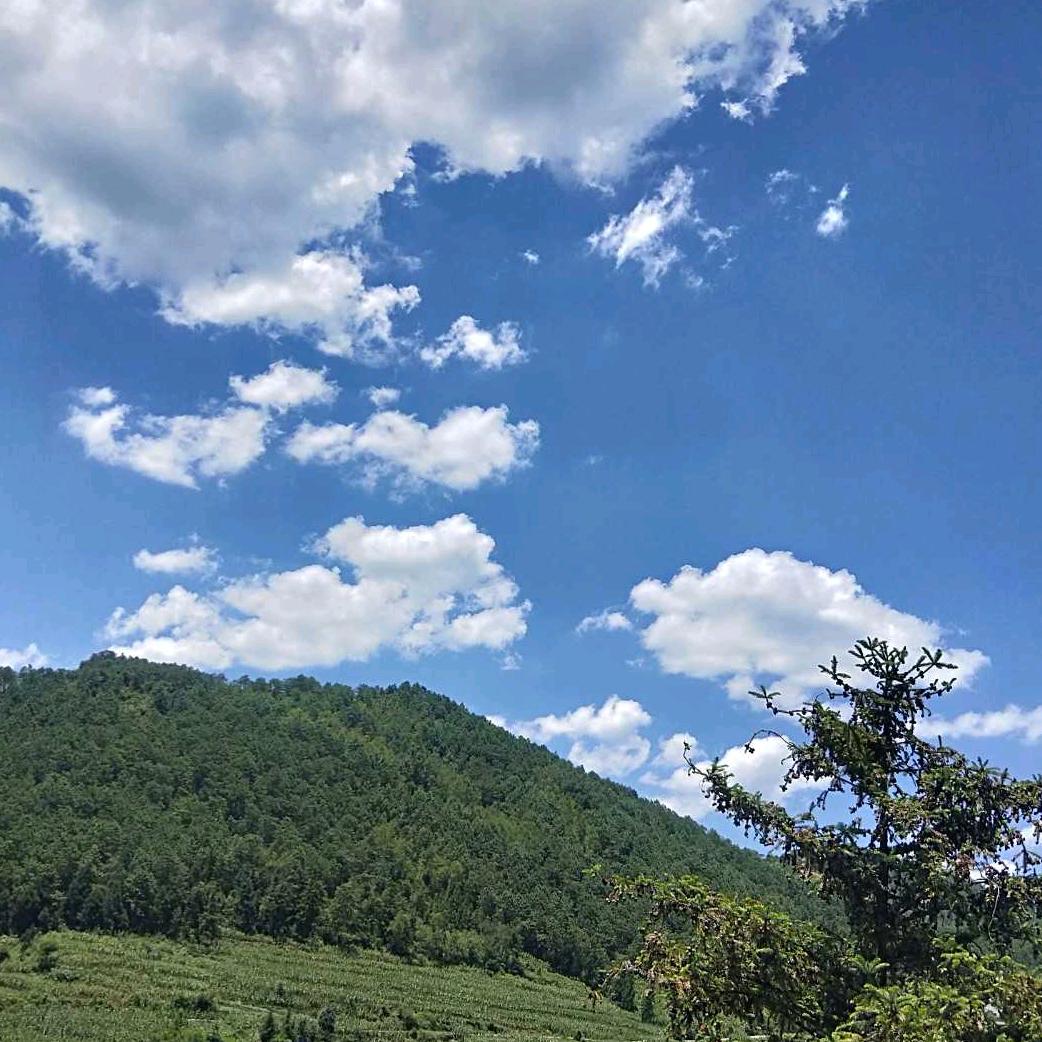 加油吖
