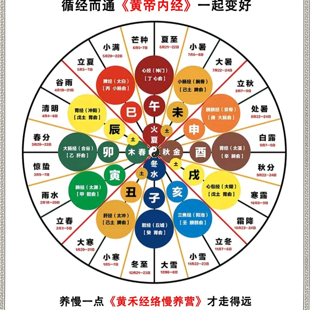 黄禾的经络慢养营