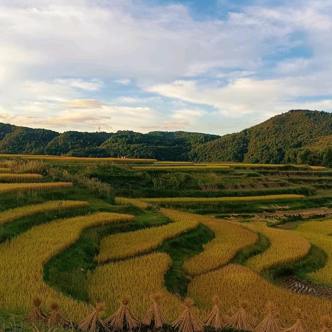 大新梯田 避暑旅居@我