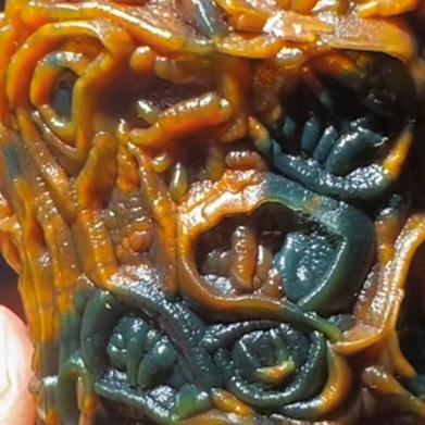 奇石之缘