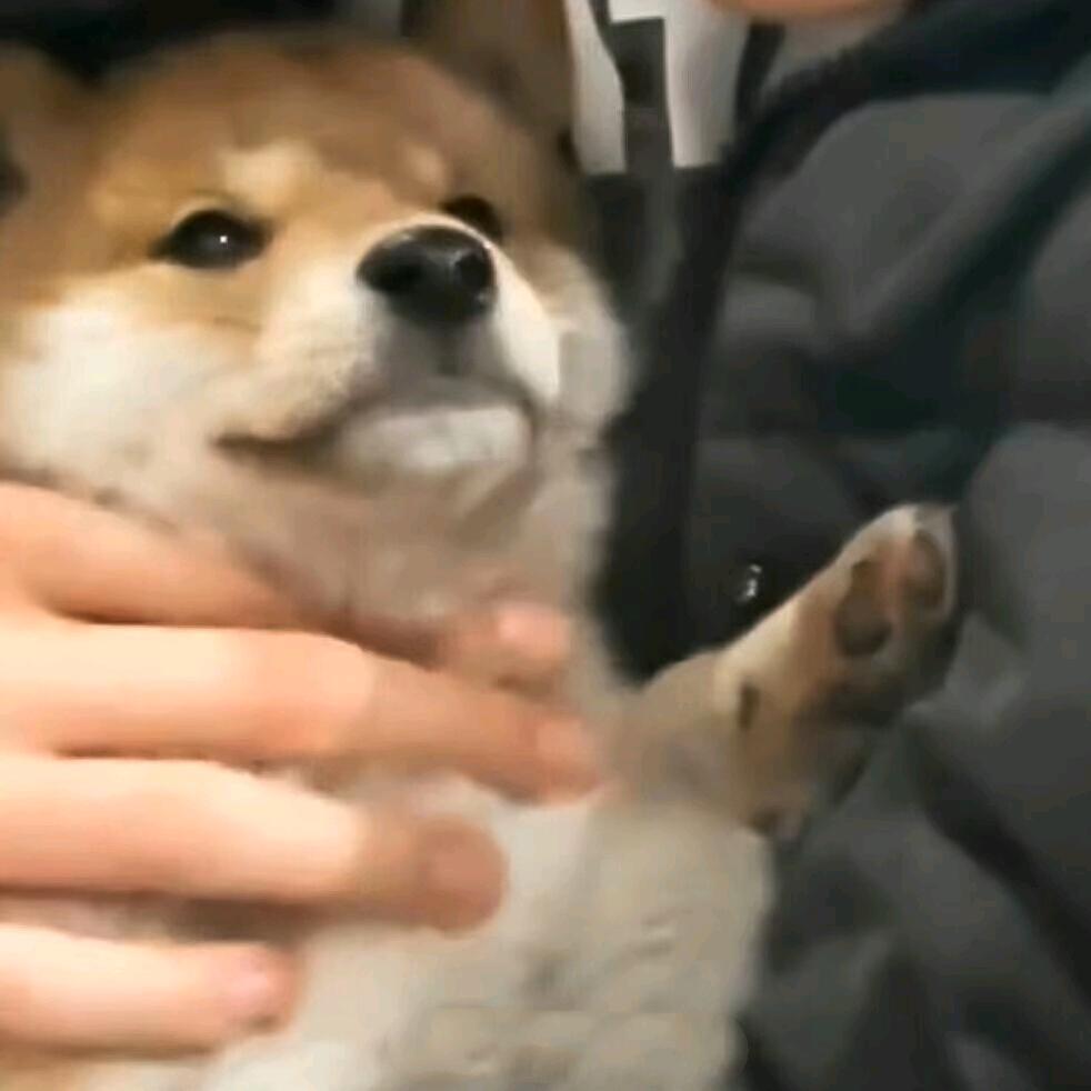 用户名47278987头像