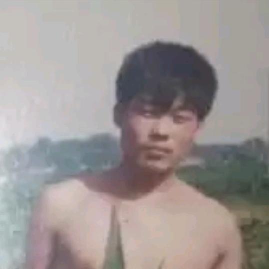 常青树涛哥