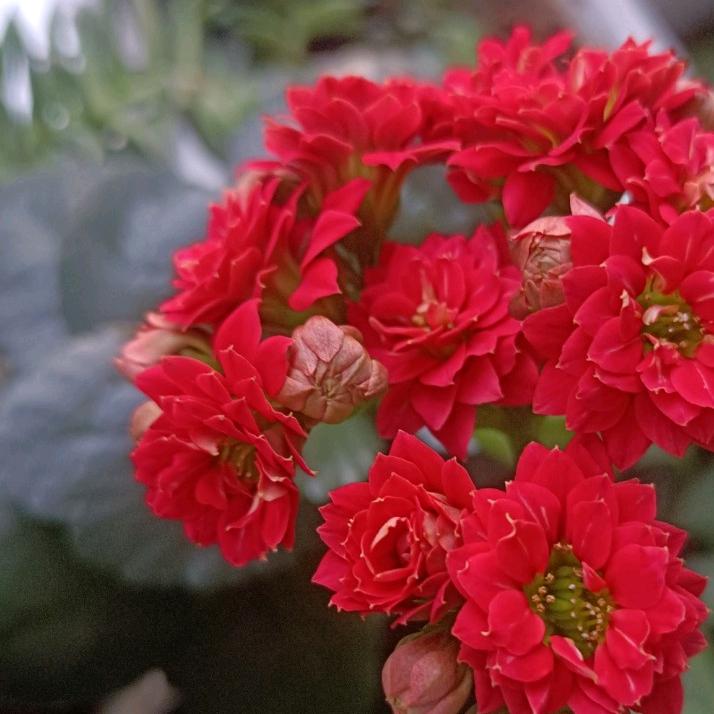 ღ᭄ꦿ꯭真诚相待张꧔