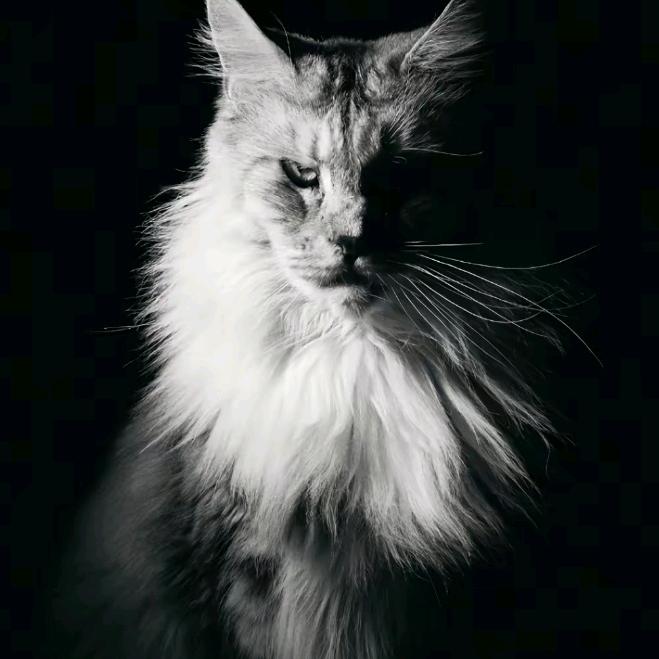 何事秋风悲画扇