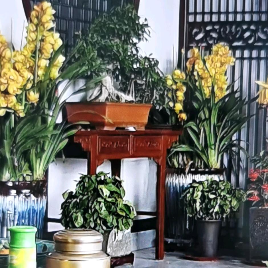兴宏农业科技