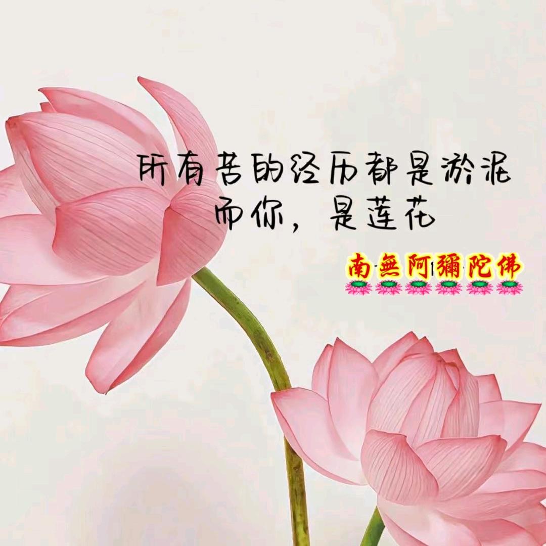 善护念