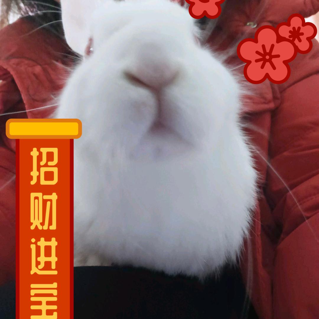 清欢小满💃