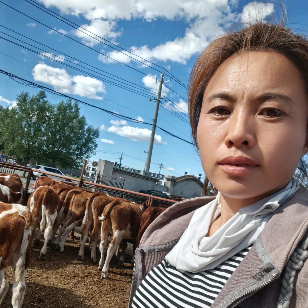 养牛人冯儿