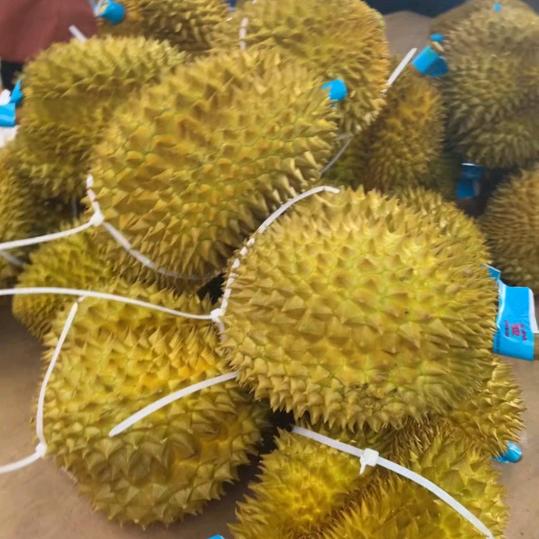 榴莲，甜妞鲜果