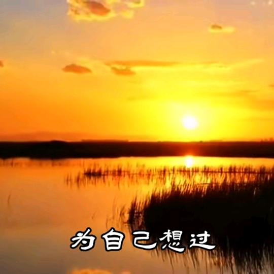 别无选择
