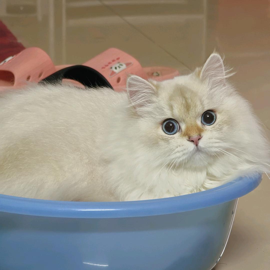 美少女治好了我的抑郁症头像