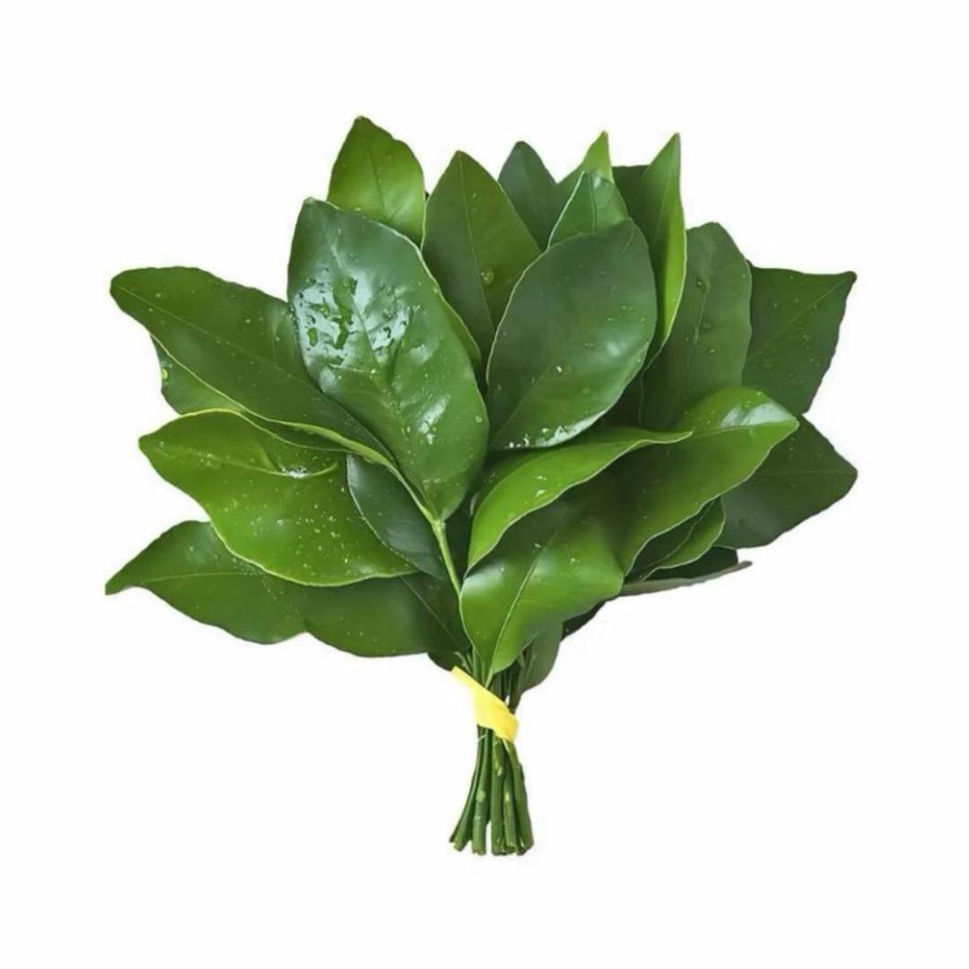 糖糖。