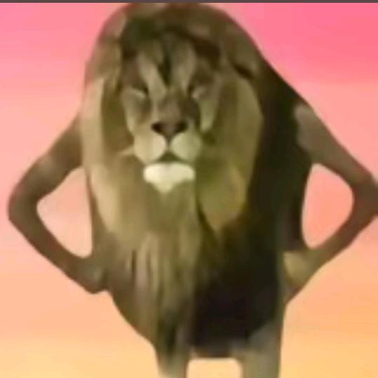 WO.o