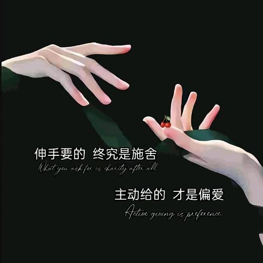 小杨养不起