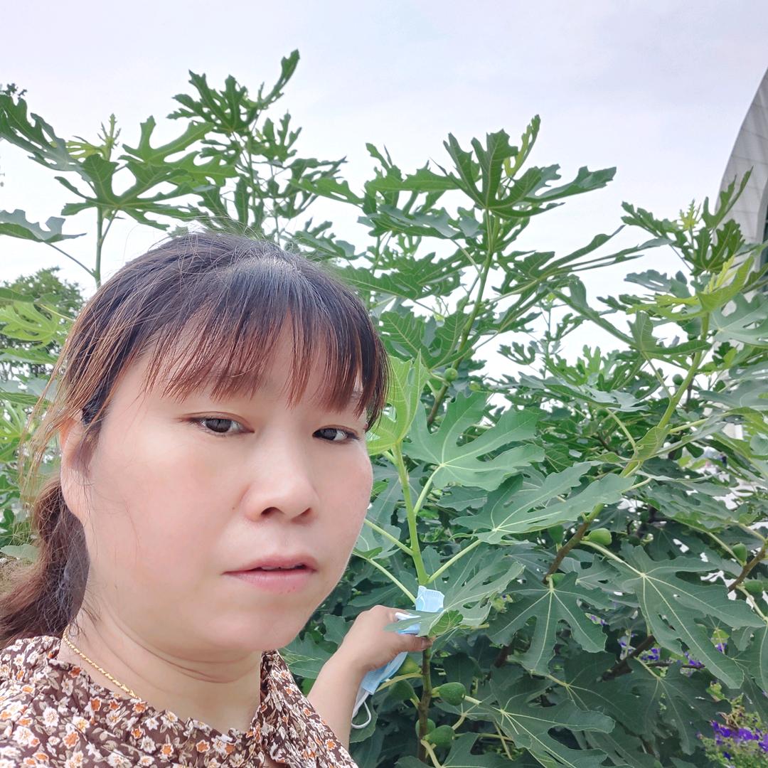 雨后花开