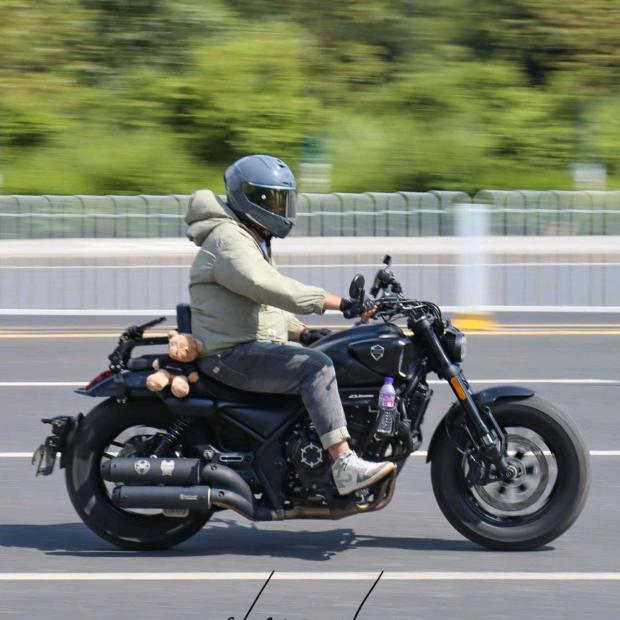 哈喽，树先生！