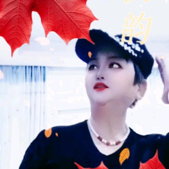 枫叶🍁