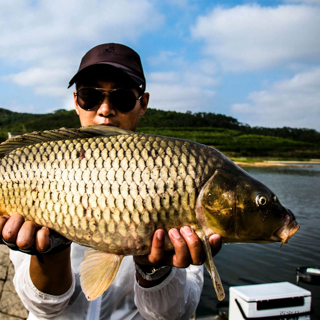 胖豆渔具严选仓