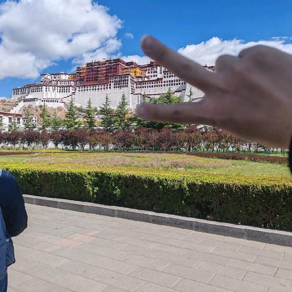 岁华将晚