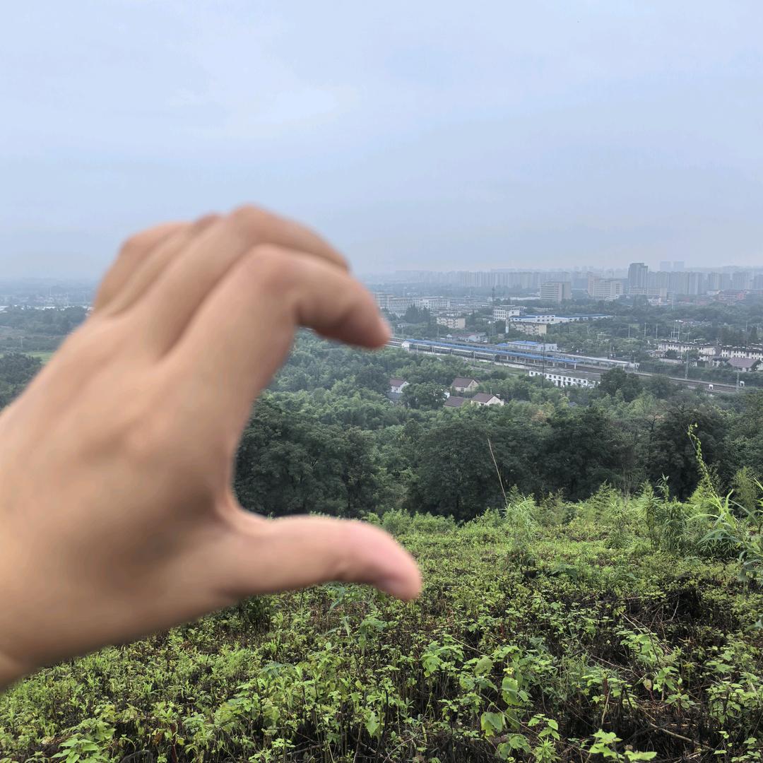 是卖手机的大乖呀