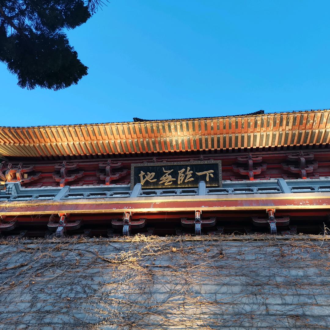 高峰碳酸钙小白