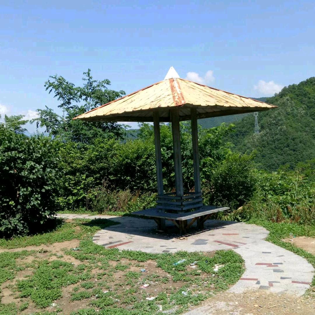 一生幸福(◍•ᴗ•◍)❤