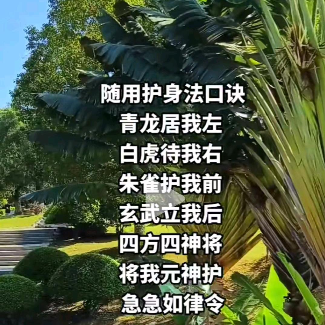 一切随缘🌸🌸🌸